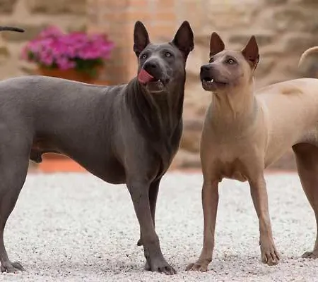 Séjour à la ferme Il Moro *