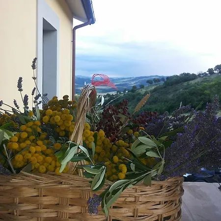 Il Moro * Gubbio