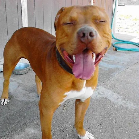 Il Moro Séjour à la ferme