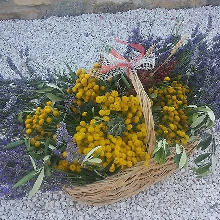 Séjour à la ferme Il Moro *