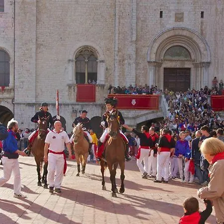 Il Moro Gubbio