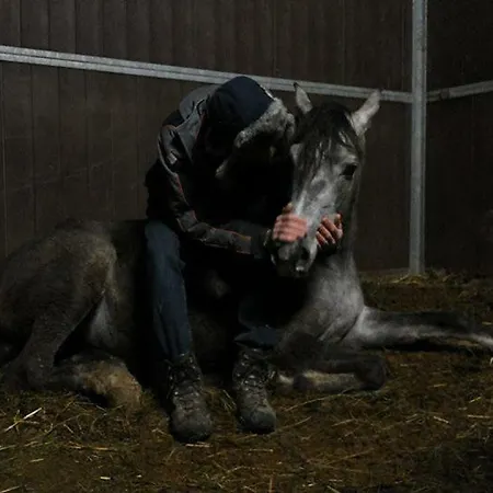 Séjour à la ferme Il Moro Gubbio