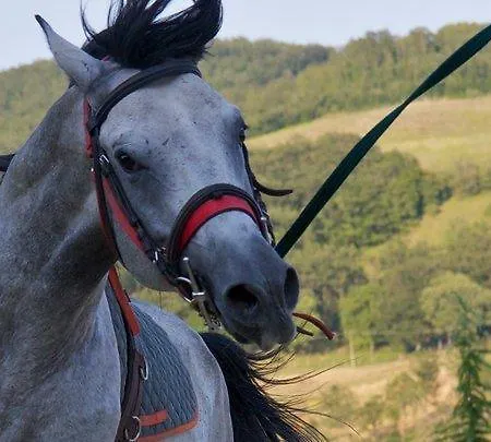 Il Moro Bauernhof Gubbio