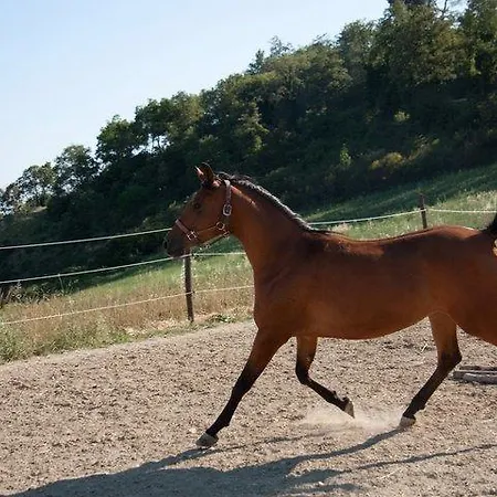 Séjour à la ferme Il Moro *