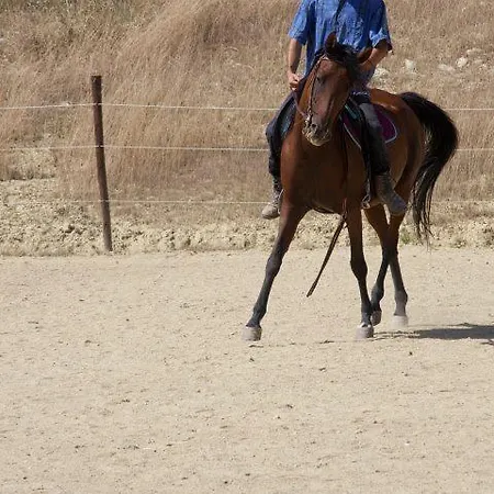 Il Moro Farm stay *
