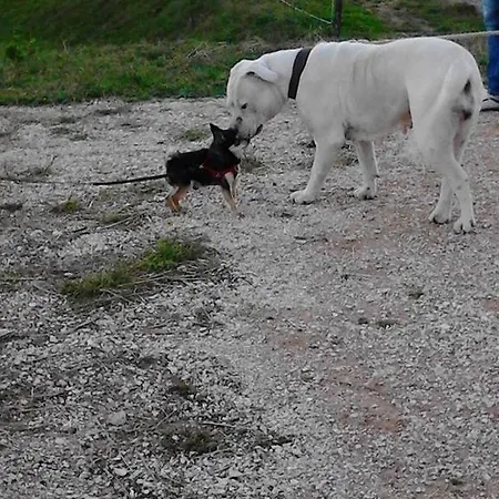 Il Moro Séjour à la ferme *