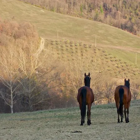 Séjour à la ferme Il Moro *