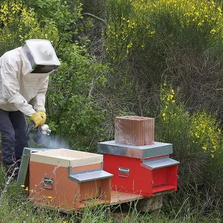 Séjour à la ferme Il Moro Gubbio