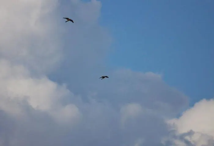 Alojamento de Turismo Rural Il Moro