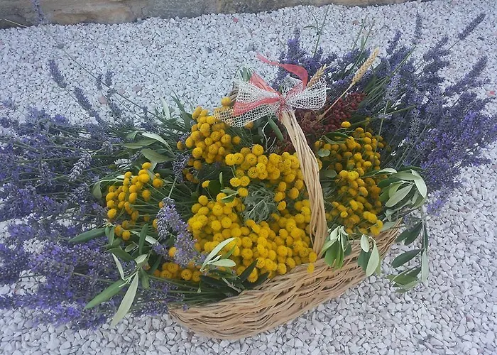 Alojamento de Turismo Rural Il Moro *