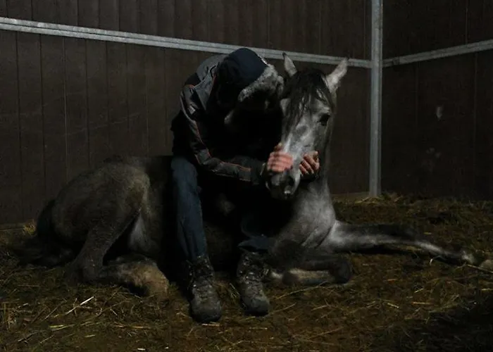 Alojamento de Turismo Rural Il Moro Gubbio