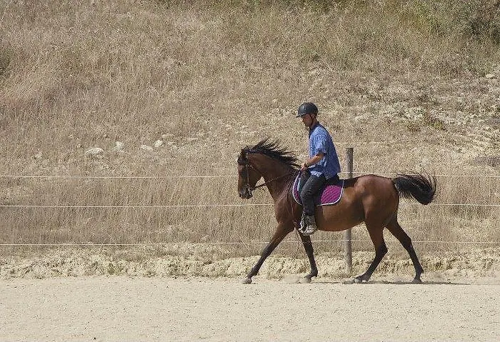 Alojamento de Turismo Rural Il Moro Gubbio