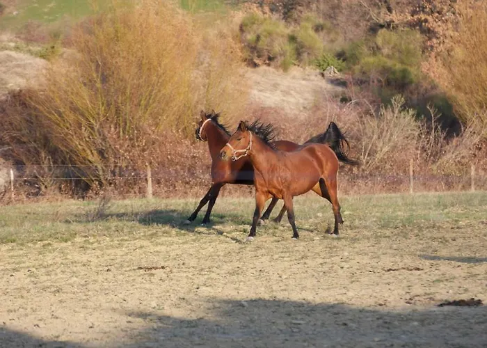 Il Moro Alojamento de Turismo Rural