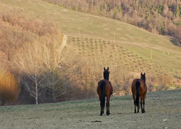 Alojamento de Turismo Rural Il Moro *