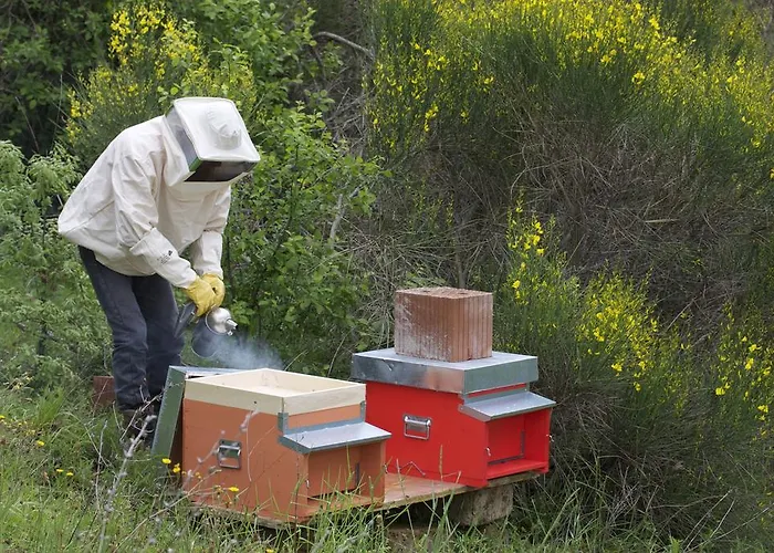 Alojamento de Turismo Rural Il Moro Gubbio